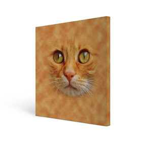 Холст квадратный с принтом Котик в Кировске, 100% ПВХ |  | Тематика изображения на принте: животные | кот | котенок | котик | кошка