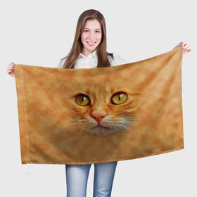 Флаг 3D с принтом Котик в Кировске, 100% полиэстер | плотность ткани — 95 г/м2, размер — 67 х 109 см. Принт наносится с одной стороны | животные | кот | котенок | котик | кошка