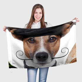 Флаг 3D с принтом Джек рассел - мексиканец в Кировске, 100% полиэстер | плотность ткани — 95 г/м2, размер — 67 х 109 см. Принт наносится с одной стороны | джек | любимец | пес | песик | питомец | рассел | собака | собаки | собачка | терьер