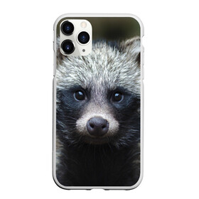 Чехол для iPhone 11 Pro Max матовый с принтом Енотик в Кировске, Силикон |  | raccoon | енот