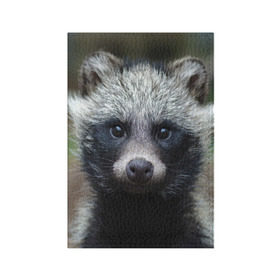 Обложка для паспорта матовая кожа с принтом Енотик в Кировске, натуральная матовая кожа | размер 19,3 х 13,7 см; прозрачные пластиковые крепления | raccoon | енот