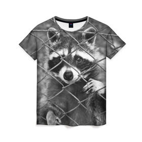 Женская футболка 3D с принтом Свободу Енотам в Кировске, 100% полиэфир ( синтетическое хлопкоподобное полотно) | прямой крой, круглый вырез горловины, длина до линии бедер | raccoon | енот