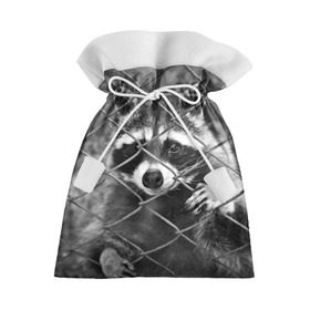 Подарочный 3D мешок с принтом Свободу Енотам в Кировске, 100% полиэстер | Размер: 29*39 см | Тематика изображения на принте: raccoon | енот