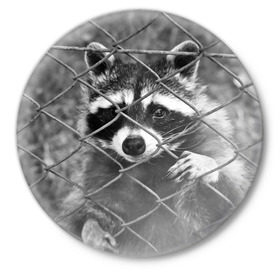 Значок с принтом Свободу Енотам в Кировске,  металл | круглая форма, металлическая застежка в виде булавки | raccoon | енот