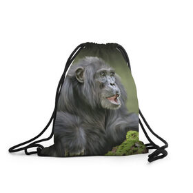 Рюкзак-мешок 3D с принтом Шимпанзе в Кировске, 100% полиэстер | плотность ткани — 200 г/м2, размер — 35 х 45 см; лямки — толстые шнурки, застежка на шнуровке, без карманов и подкладки | животные | обезьяна 