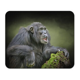 Коврик прямоугольный с принтом Шимпанзе в Кировске, натуральный каучук | размер 230 х 185 мм; запечатка лицевой стороны | животные | обезьяна 