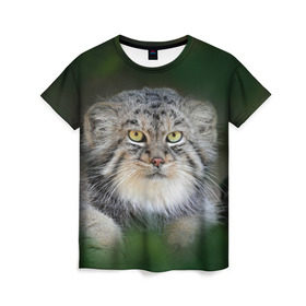 Женская футболка 3D с принтом Манул в Кировске, 100% полиэфир ( синтетическое хлопкоподобное полотно) | прямой крой, круглый вырез горловины, длина до линии бедер | всеядный | детеныш | дикие | животные | звери | зверята | кот | манул | медведь | хищник