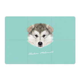 Магнитный плакат 3Х2 с принтом Alaskan Malamute в Кировске, Полимерный материал с магнитным слоем | 6 деталей размером 9*9 см | alaskan malamute | dog | puppy | маламут | собака | хаски | щенок