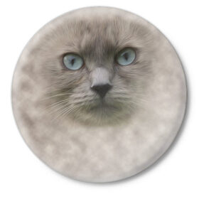 Значок с принтом Кошка в Кировске,  металл | круглая форма, металлическая застежка в виде булавки | Тематика изображения на принте: глаза | животные | кот | котенок | кошка | мордочка | нос | усы