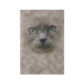 Обложка для паспорта матовая кожа с принтом Кошка в Кировске, натуральная матовая кожа | размер 19,3 х 13,7 см; прозрачные пластиковые крепления | Тематика изображения на принте: глаза | животные | кот | котенок | кошка | мордочка | нос | усы