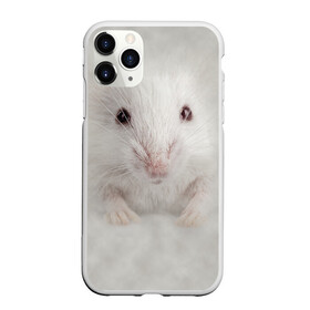 Чехол для iPhone 11 Pro Max матовый с принтом Крыса в Кировске, Силикон |  | животные | крыса | мордочка | мышка | мышь | природа