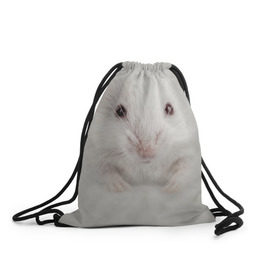 Рюкзак-мешок 3D с принтом Крыса в Кировске, 100% полиэстер | плотность ткани — 200 г/м2, размер — 35 х 45 см; лямки — толстые шнурки, застежка на шнуровке, без карманов и подкладки | животные | крыса | мордочка | мышка | мышь | природа