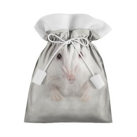 Подарочный 3D мешок с принтом Крыса в Кировске, 100% полиэстер | Размер: 29*39 см | Тематика изображения на принте: животные | крыса | мордочка | мышка | мышь | природа