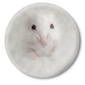 Значок с принтом Крыса в Кировске,  металл | круглая форма, металлическая застежка в виде булавки | Тематика изображения на принте: животные | крыса | мордочка | мышка | мышь | природа