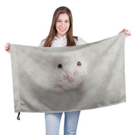 Флаг 3D с принтом Крыса в Кировске, 100% полиэстер | плотность ткани — 95 г/м2, размер — 67 х 109 см. Принт наносится с одной стороны | животные | крыса | мордочка | мышка | мышь | природа