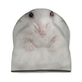 Шапка 3D с принтом Крыса в Кировске, 100% полиэстер | универсальный размер, печать по всей поверхности изделия | Тематика изображения на принте: животные | крыса | мордочка | мышка | мышь | природа