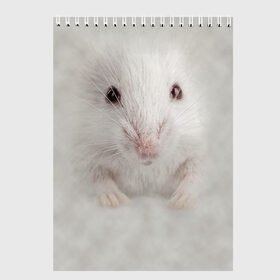 Скетчбук с принтом Крыса в Кировске, 100% бумага
 | 48 листов, плотность листов — 100 г/м2, плотность картонной обложки — 250 г/м2. Листы скреплены сверху удобной пружинной спиралью | животные | крыса | мордочка | мышка | мышь | природа