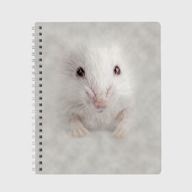 Тетрадь с принтом Крыса в Кировске, 100% бумага | 48 листов, плотность листов — 60 г/м2, плотность картонной обложки — 250 г/м2. Листы скреплены сбоку удобной пружинной спиралью. Уголки страниц и обложки скругленные. Цвет линий — светло-серый
 | животные | крыса | мордочка | мышка | мышь | природа