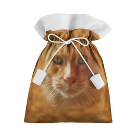 Подарочный 3D мешок с принтом Рыжий котик в Кировске, 100% полиэстер | Размер: 29*39 см | Тематика изображения на принте: животные | кот | котенок | котик | кошка | мордочка | рыжий
