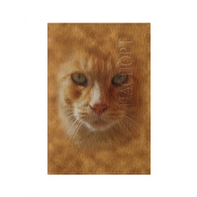 Обложка для паспорта матовая кожа с принтом Рыжий котик в Кировске, натуральная матовая кожа | размер 19,3 х 13,7 см; прозрачные пластиковые крепления | Тематика изображения на принте: животные | кот | котенок | котик | кошка | мордочка | рыжий