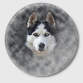 Значок с принтом Хаска в Кировске,  металл | круглая форма, металлическая застежка в виде булавки | мордочка | пес | собака | хаска | щенок