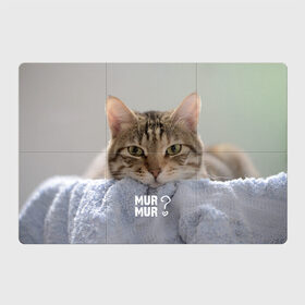 Магнитный плакат 3Х2 с принтом мур мур в Кировске, Полимерный материал с магнитным слоем | 6 деталей размером 9*9 см | cat | кот | котик | котэ | кошка | любовь | мур | мяу | сердечко | сердце