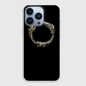 Чехол для iPhone 13 Pro с принтом TES 8 в Кировске,  |  | bloodmoon | elder | morrowind | oblivion | scrolls | skyrim | tribunal