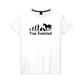 Женская футболка хлопок с принтом Настоящая эволюция в Кировске, 100% хлопок | прямой крой, круглый вырез горловины, длина до линии бедер, слегка спущенное плечо | ветеринар | ветеринария | ветеринарный врач | кошка | лошадь | собака | эволюция