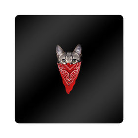 Магнит виниловый Квадрат с принтом Котомафия в Кировске, полимерный материал с магнитным слоем | размер 9*9 см, закругленные углы | бандана | гангстер | кот | котик | кошка | мафия