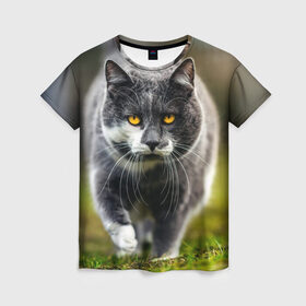 Женская футболка 3D с принтом Котэ в Кировске, 100% полиэфир ( синтетическое хлопкоподобное полотно) | прямой крой, круглый вырез горловины, длина до линии бедер | глаза | киска | кот | котёнок | кошка | усы