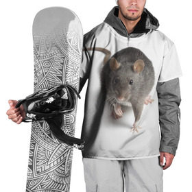 Накидка на куртку 3D с принтом Крыса в Кировске, 100% полиэстер |  | Тематика изображения на принте: животные | крыса | мышка | мышь
