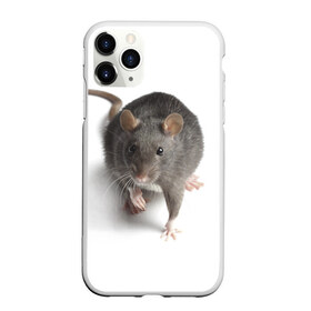 Чехол для iPhone 11 Pro Max матовый с принтом Крыса в Кировске, Силикон |  | животные | крыса | мышка | мышь