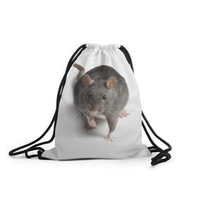 Рюкзак-мешок 3D с принтом Крыса в Кировске, 100% полиэстер | плотность ткани — 200 г/м2, размер — 35 х 45 см; лямки — толстые шнурки, застежка на шнуровке, без карманов и подкладки | животные | крыса | мышка | мышь