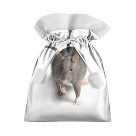 Подарочный 3D мешок с принтом Крыса в Кировске, 100% полиэстер | Размер: 29*39 см | Тематика изображения на принте: животные | крыса | мышка | мышь