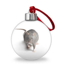 Ёлочный шар с принтом Крыса в Кировске, Пластик | Диаметр: 77 мм | Тематика изображения на принте: животные | крыса | мышка | мышь