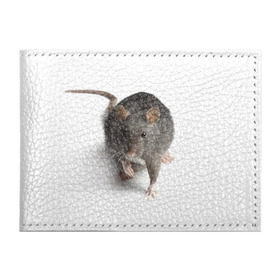Обложка для студенческого билета с принтом Крыса в Кировске, натуральная кожа | Размер: 11*8 см; Печать на всей внешней стороне | животные | крыса | мышка | мышь