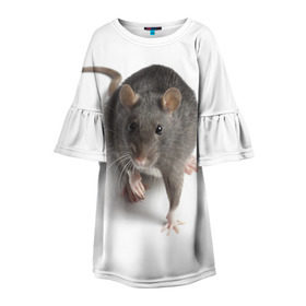 Детское платье 3D с принтом Крыса в Кировске, 100% полиэстер | прямой силуэт, чуть расширенный к низу. Круглая горловина, на рукавах — воланы | животные | крыса | мышка | мышь