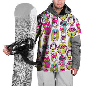 Накидка на куртку 3D с принтом Совы в Кировске, 100% полиэстер |  | абстракция | паттерн | совы | цветные | яркие
