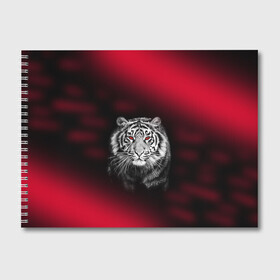 Альбом для рисования с принтом Тигр красные глаза в Кировске, 100% бумага
 | матовая бумага, плотность 200 мг. |  хищник | багровый | большая кошка | глаза. красные | красный | кровавый | тигр