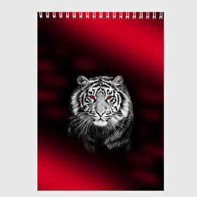 Скетчбук с принтом Тигр красные глаза в Кировске, 100% бумага
 | 48 листов, плотность листов — 100 г/м2, плотность картонной обложки — 250 г/м2. Листы скреплены сверху удобной пружинной спиралью |  хищник | багровый | большая кошка | глаза. красные | красный | кровавый | тигр