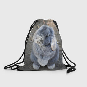 Рюкзак-мешок 3D с принтом Кролик в Кировске, 100% полиэстер | плотность ткани — 200 г/м2, размер — 35 х 45 см; лямки — толстые шнурки, застежка на шнуровке, без карманов и подкладки | Тематика изображения на принте: грызун | животные | заяц | кролик | мордочка | природа | пушистый | уши