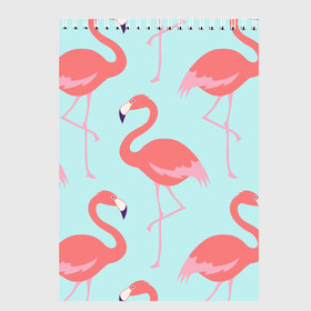 Скетчбук с принтом Flamingos pattern в Кировске, 100% бумага
 | 48 листов, плотность листов — 100 г/м2, плотность картонной обложки — 250 г/м2. Листы скреплены сверху удобной пружинной спиралью | animals | beautiful | bird | birds | birdy | blue | color | flamingo | nature | wild | белое | голубое | животные | красивое | красота | милое | природа | птица | птицы | птичка | птички | синее | фламинго | цвет | яркое