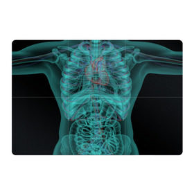 Магнитный плакат 3Х2 с принтом рентген человека в Кировске, Полимерный материал с магнитным слоем | 6 деталей размером 9*9 см | кости | органы | рентген | человек