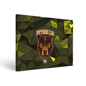 Холст прямоугольный с принтом Pitbulls в Кировске, 100% ПВХ |  | Тематика изображения на принте: dog | pitbulls | абстракция | геометрия | животные | собака | треугольники | цепь