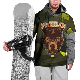 Накидка на куртку 3D с принтом Pitbulls в Кировске, 100% полиэстер |  | Тематика изображения на принте: dog | pitbulls | абстракция | геометрия | животные | собака | треугольники | цепь