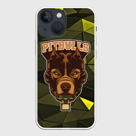 Чехол для iPhone 13 mini с принтом Pitbulls в Кировске,  |  | dog | pitbulls | абстракция | геометрия | животные | собака | треугольники | цепь