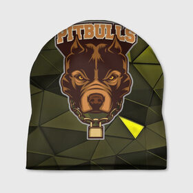 Шапка 3D с принтом Pitbulls в Кировске, 100% полиэстер | универсальный размер, печать по всей поверхности изделия | dog | pitbulls | абстракция | геометрия | животные | собака | треугольники | цепь