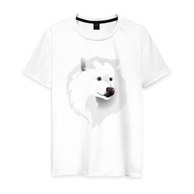 Мужская футболка хлопок с принтом Самоед в Кировске, 100% хлопок | прямой крой, круглый вырез горловины, длина до линии бедер, слегка спущенное плечо. | ездовая собака | ес | лайка | самоедская собака