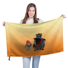 Флаг 3D с принтом Енот, сова и аккордион в Кировске, 100% полиэстер | плотность ткани — 95 г/м2, размер — 67 х 109 см. Принт наносится с одной стороны | животные | музыка