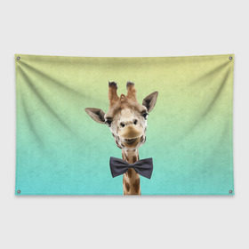 Флаг-баннер с принтом Жираф и бабочка в Кировске, 100% полиэстер | размер 67 х 109 см, плотность ткани — 95 г/м2; по краям флага есть четыре люверса для крепления | жираф
